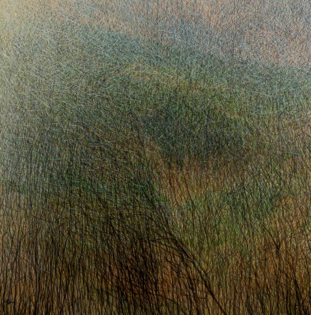 Mousavi3 copy3 Seyed Taher Mousavi - Image 1