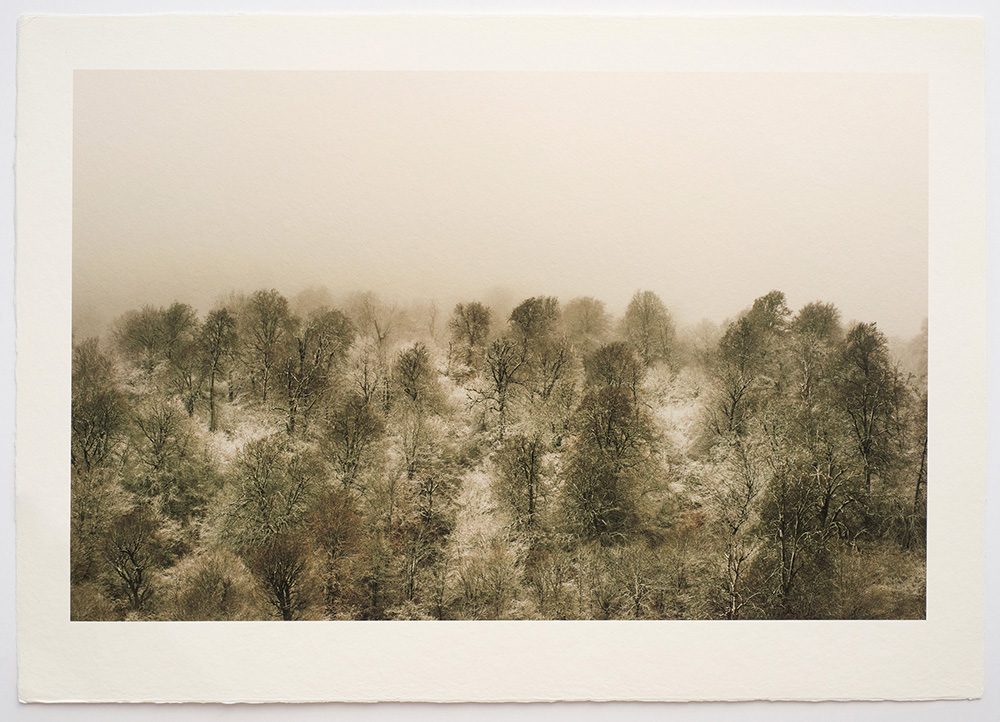Shahin Esfandiari, Untitled 04, 2024, inkjet print on handmade washi paper, 70x100 cm, edition of 3 1 AP, $1200 copy Shahin Esfandiari - Image 1