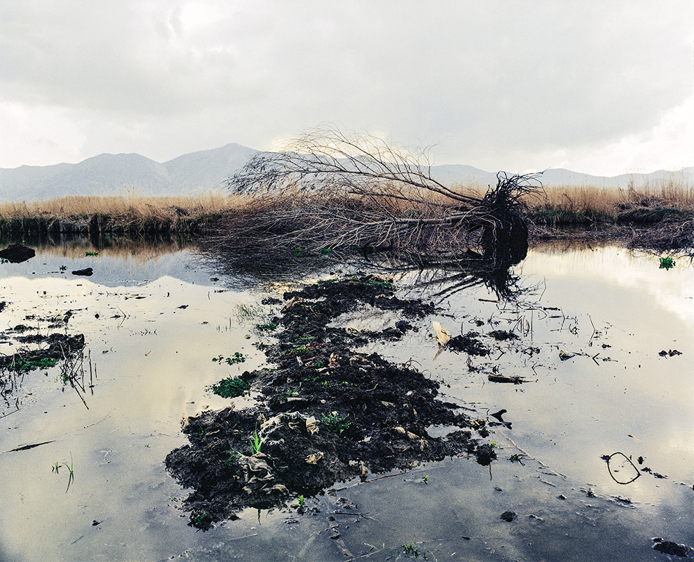 Untitled #7-7 Zhoobin Abdiani - Image 1