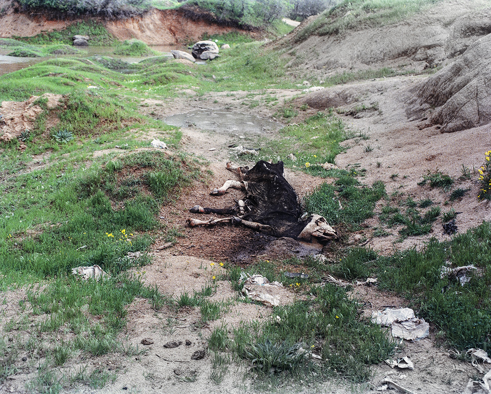 Untitled #9 -9 Zhoobin Abdiani - Image 1