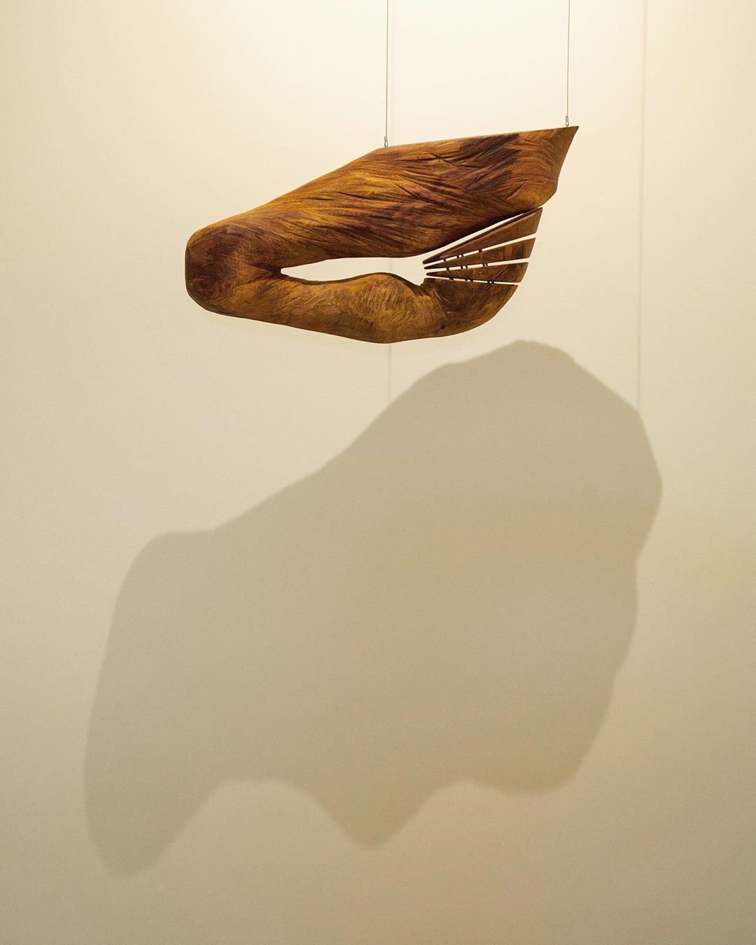 72480381_1879430855535522_8183290273343861498_n Majid Farahmand - Image 1
