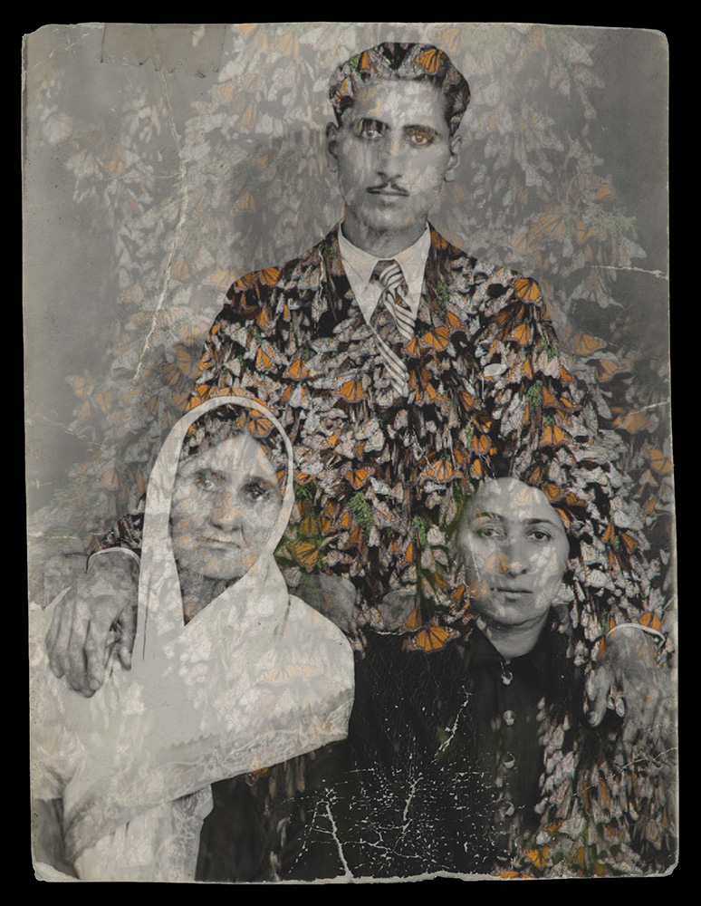02 copy Nazli Abbaspour - Image 1