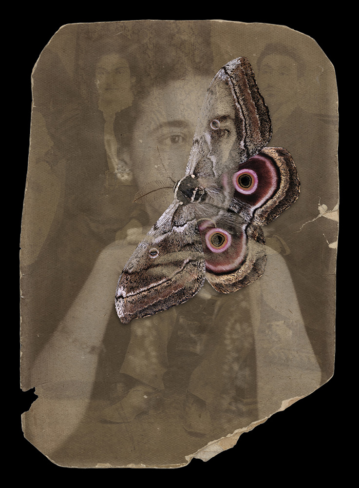 05 copy Nazli Abbaspour - Image 1
