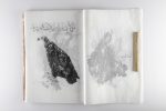 Hamed Jaberha - Image 6