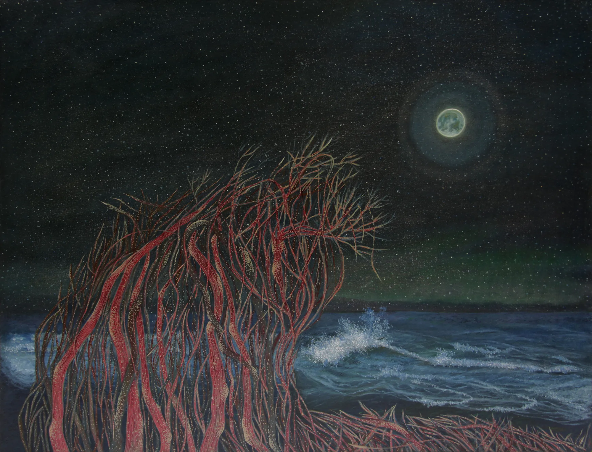 oil on canvas 65_50 2 copy_11zon Samira Abdi - Image 1
