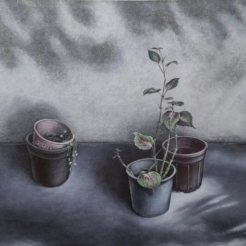 20241203_144952