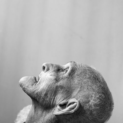 IMG_7864 copy