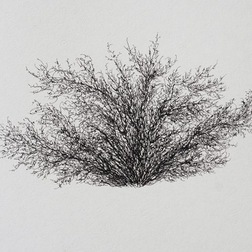 Mohammad Hassanzadeh, Untitled from the Surface Layers 2 series, 2020 - 2021, ink on paper, 14x20 cm, $1000 copy