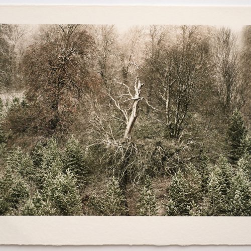 Shahin Esfandiari, Untitled 03, 2024, inkjet print on handmade washi paper, 70x100 cm, edition of 3 1 AP, $1200 copy